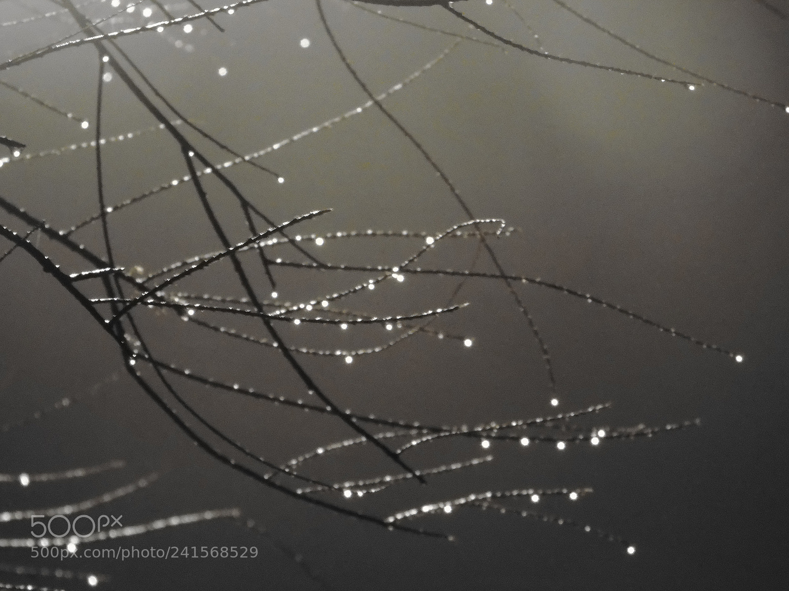 Sony Cyber-shot DSC-H400 sample photo. Water droplets photography