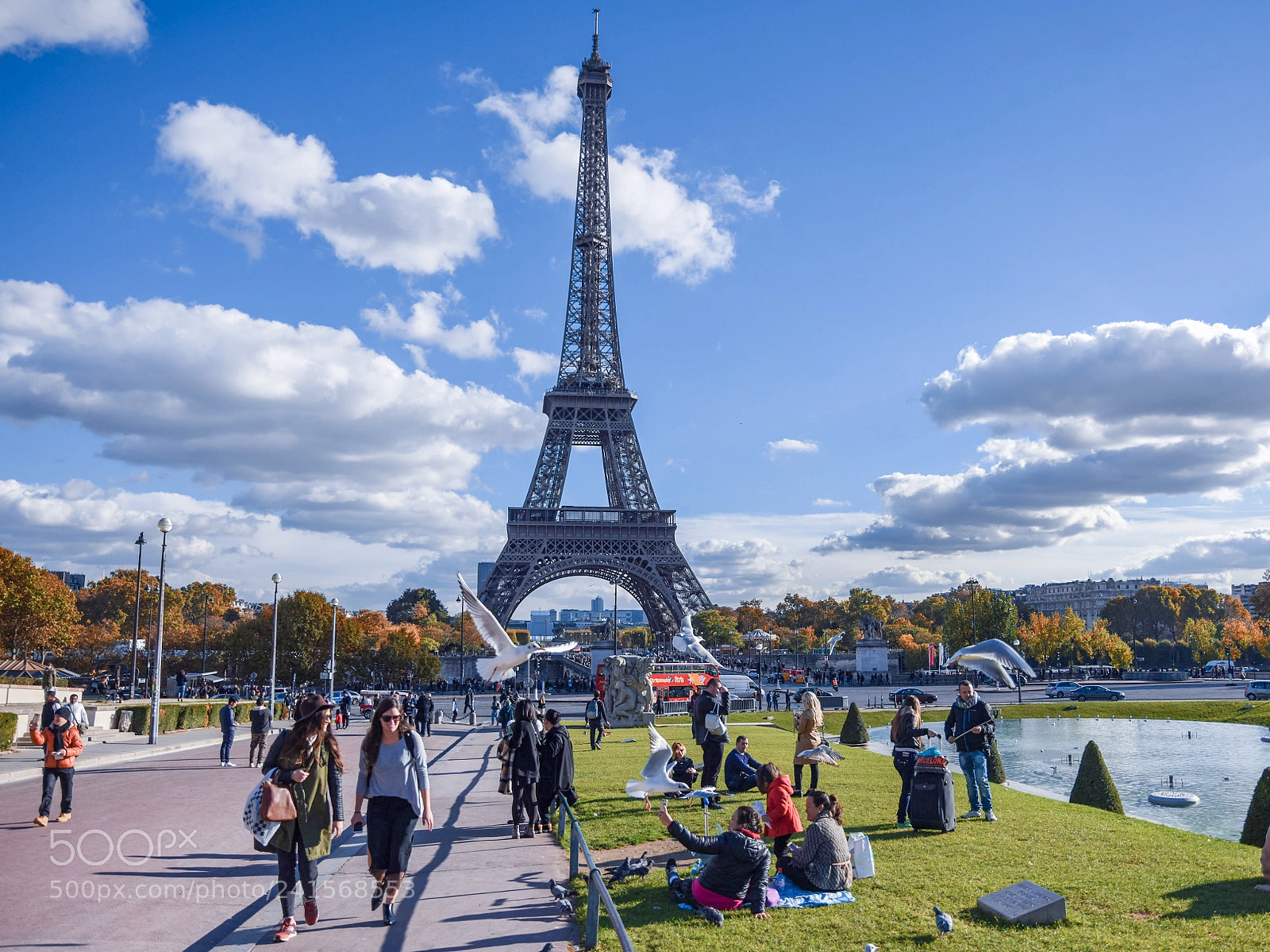 Nikon D810 sample photo. Nothing like paris ✨✨ photography