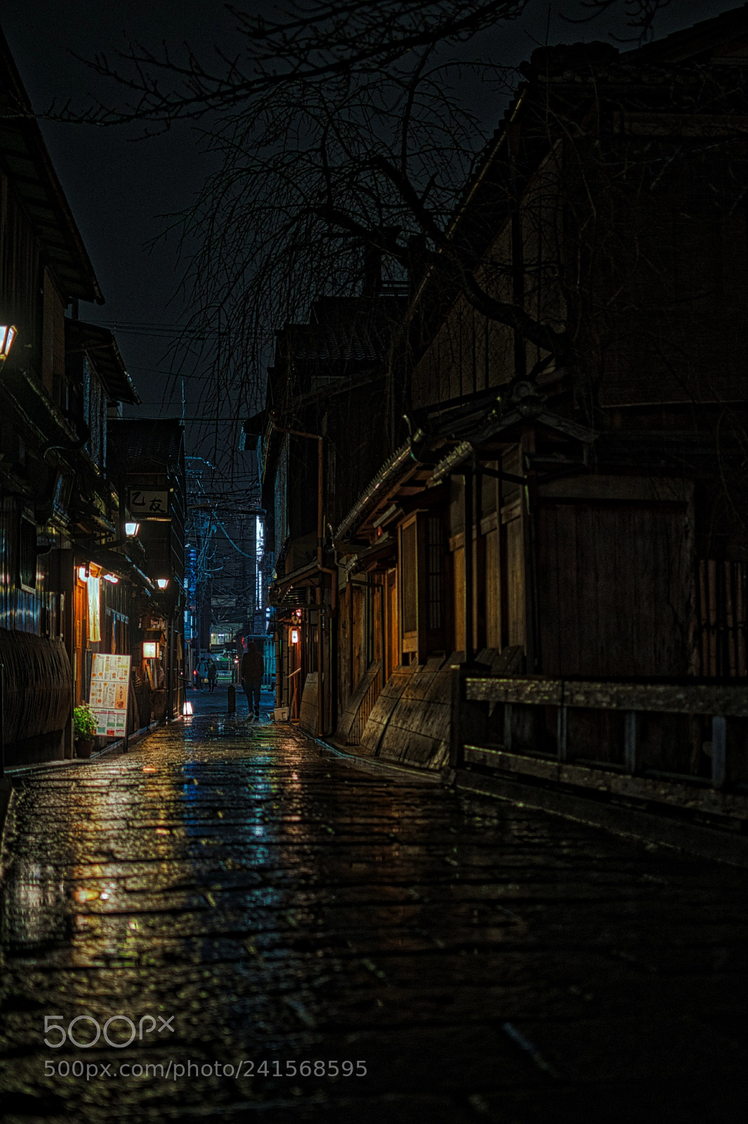Nikon D7500 sample photo. Kyoto s rain part photography