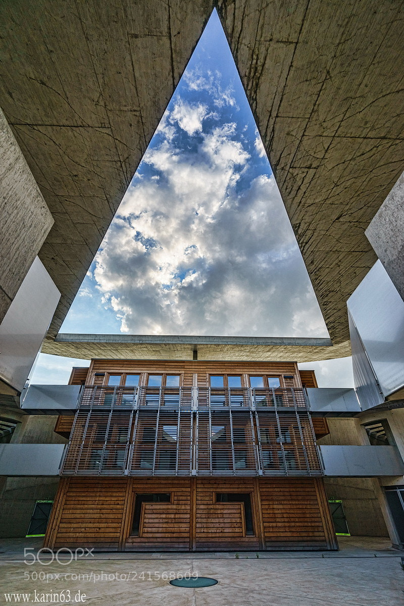 Sony a7 sample photo. Blick in den himmel photography