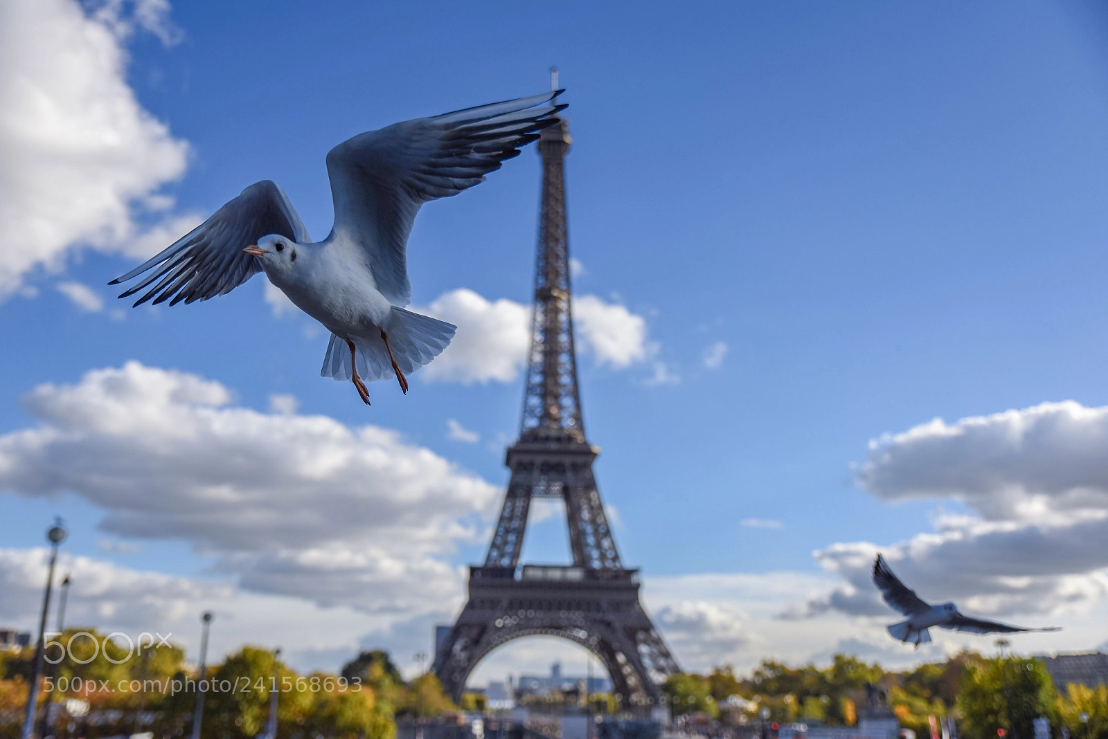 Nikon D810 sample photo. With the tower in photography