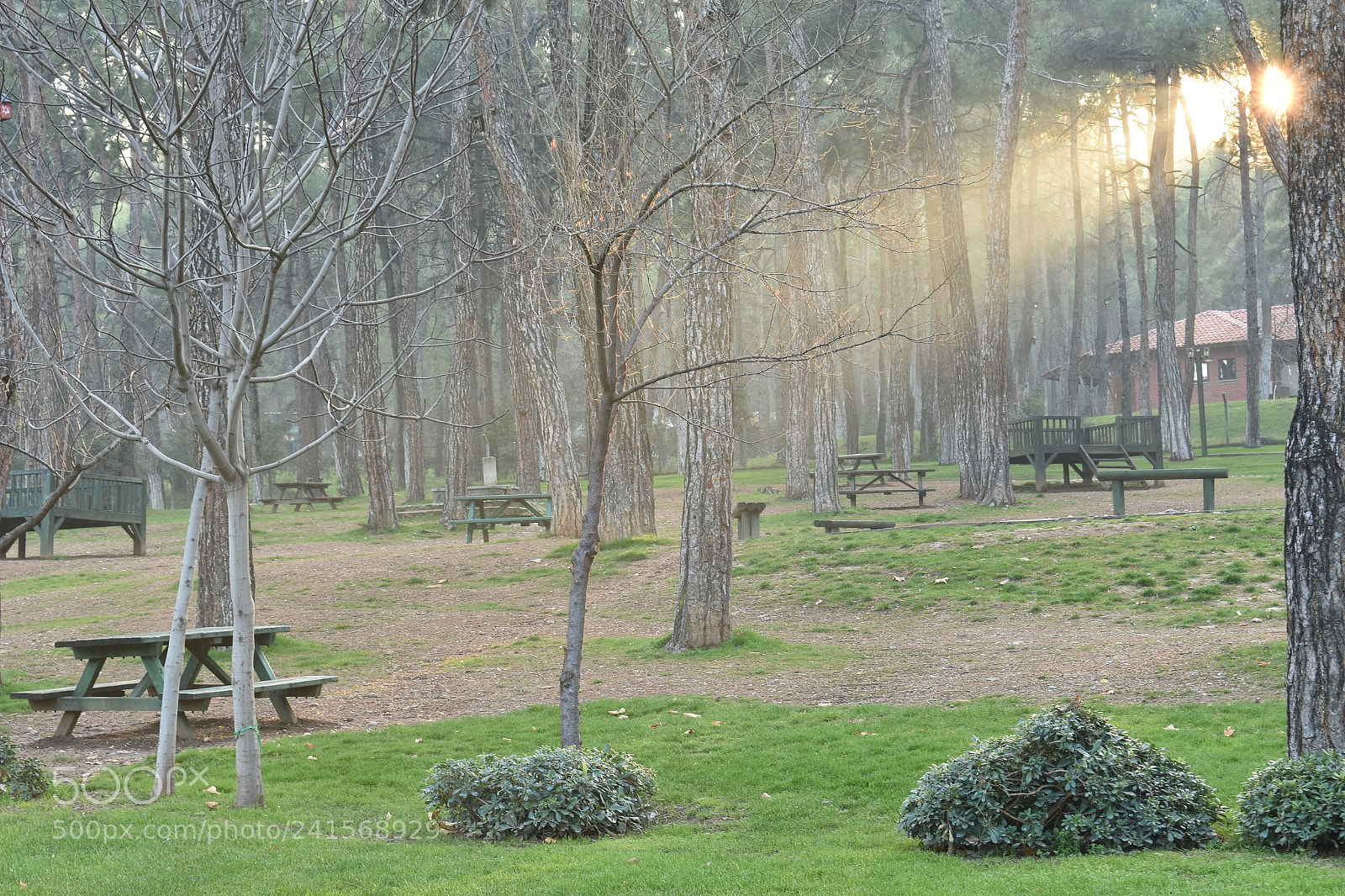 Nikon D3400 sample photo. Sunset photography