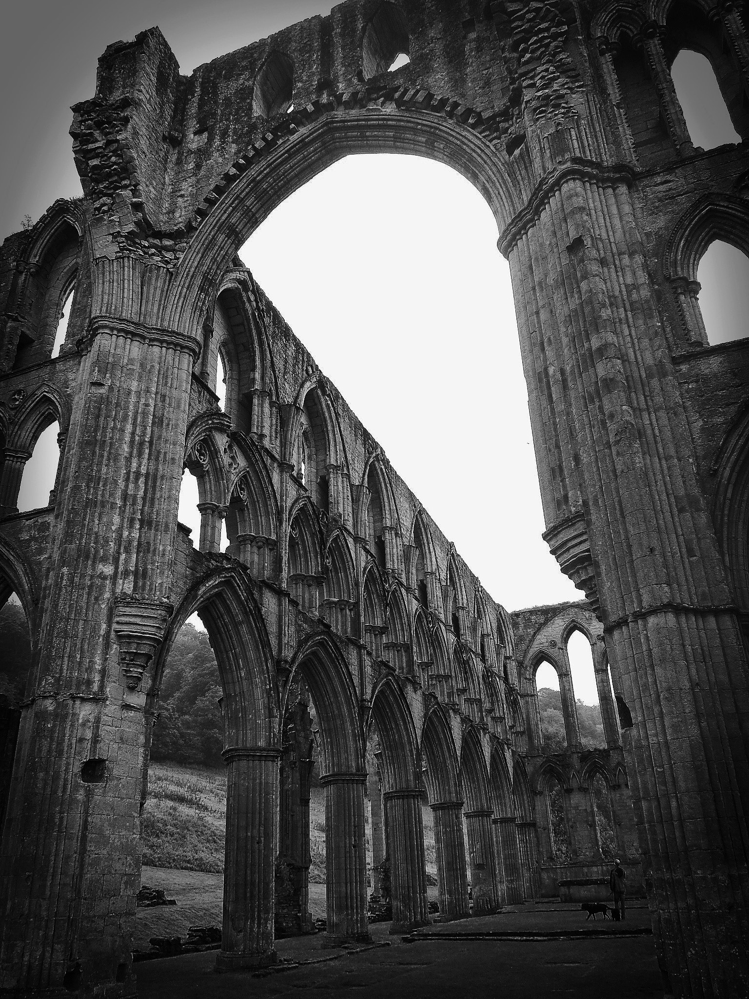 Fujifilm XQ1 sample photo. Rievaulx abbey photography