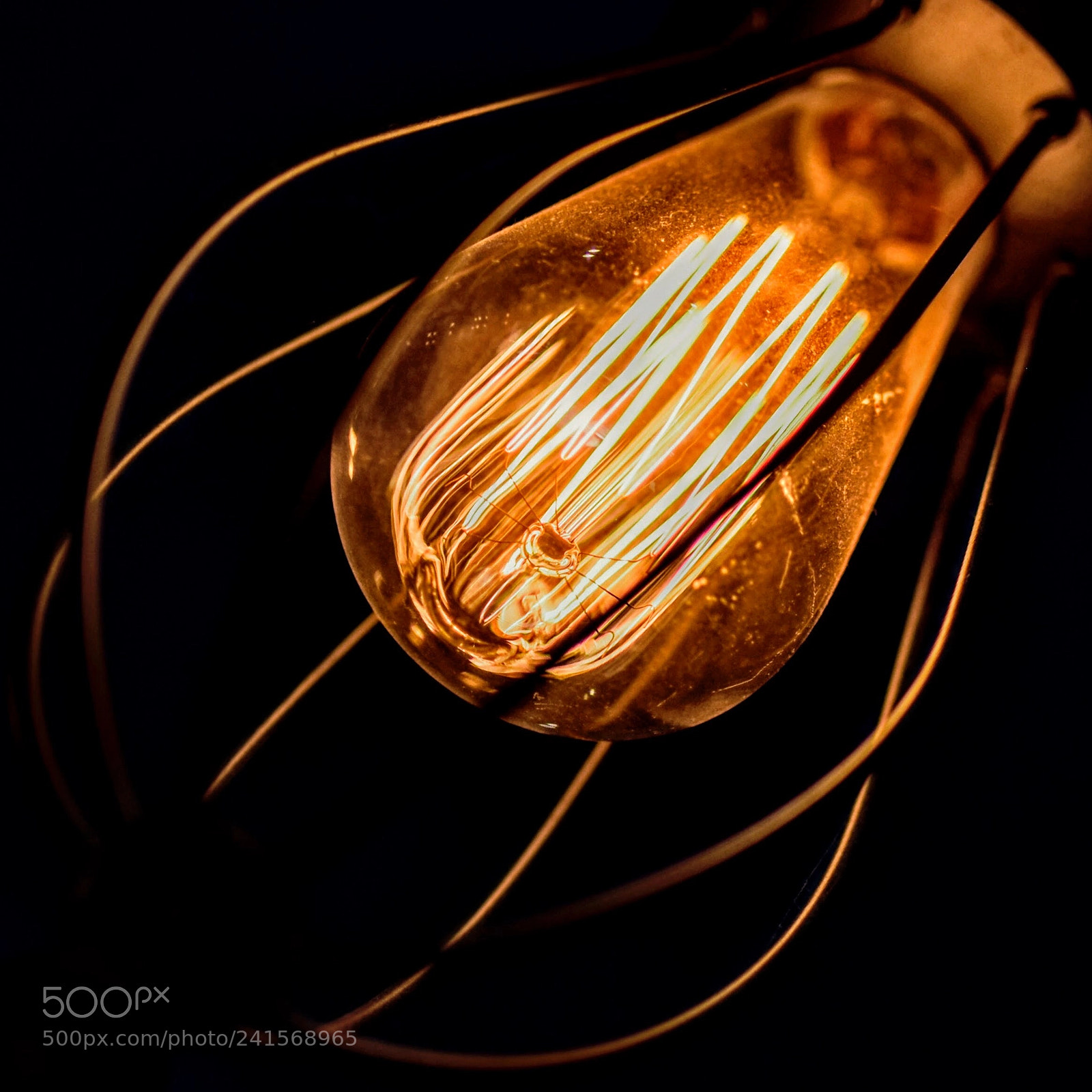 Nikon D810 sample photo. Pure art ... photography