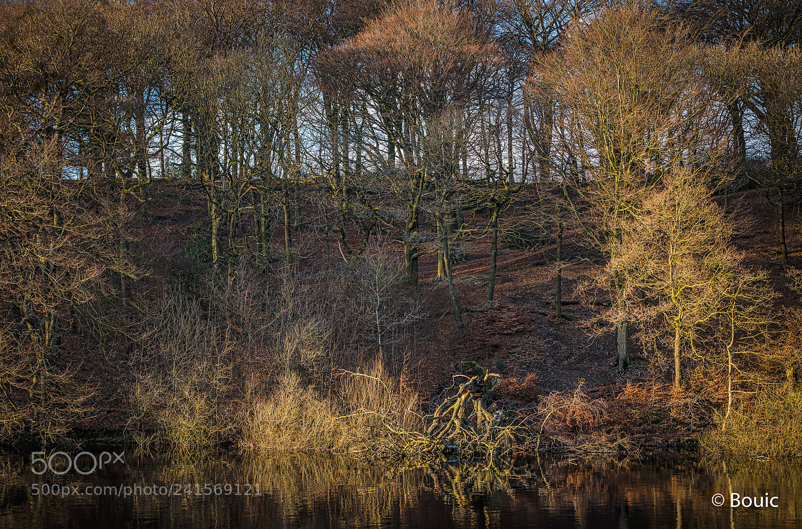 Leica SL (Typ 601) sample photo. Late afternoon sun anglezarke photography