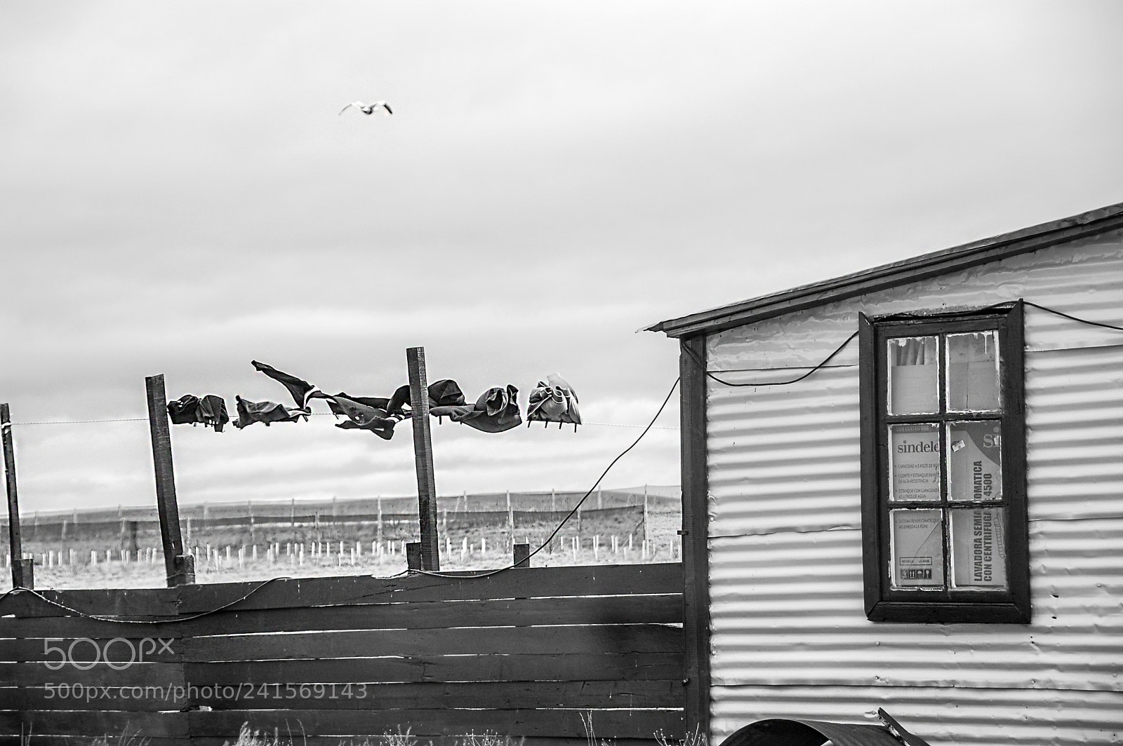 Nikon D50 sample photo. The impressive patagonian winds... photography