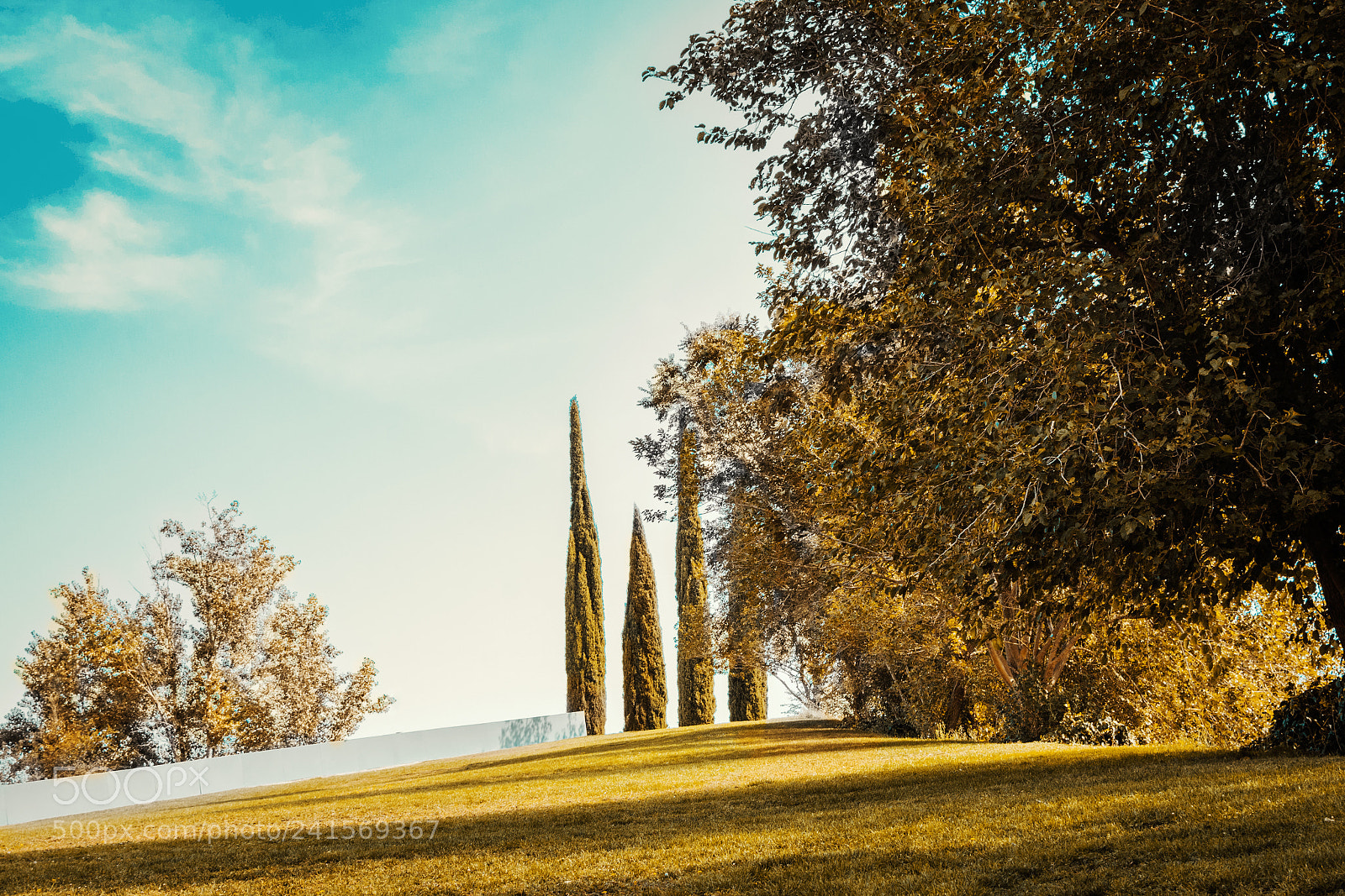 Nikon D7200 sample photo. Pinos photography