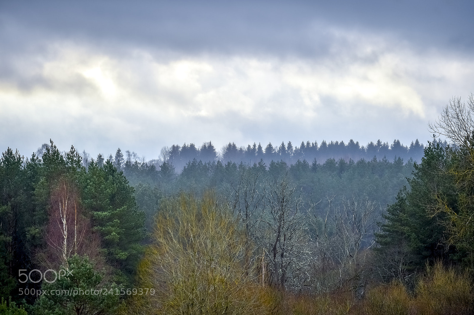 Nikon D4S sample photo. Lithuania photography