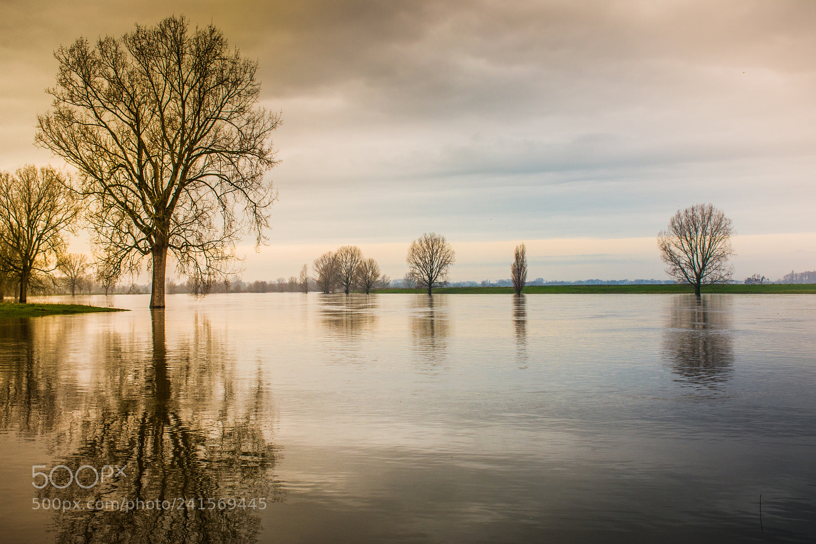 Nikon D7100 sample photo. High water photography