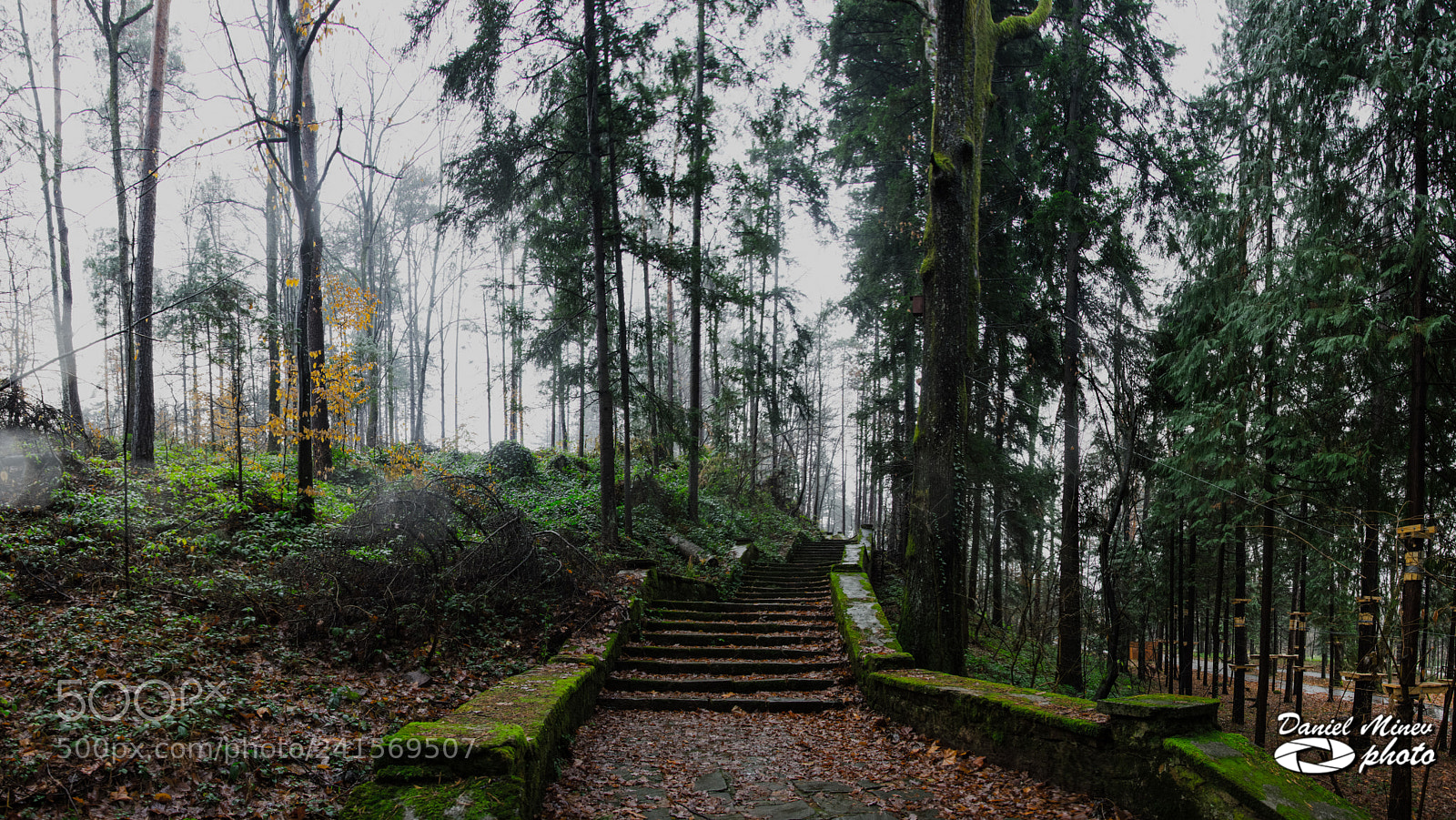 Nikon D3200 sample photo. Nature, panorama of 13 photography