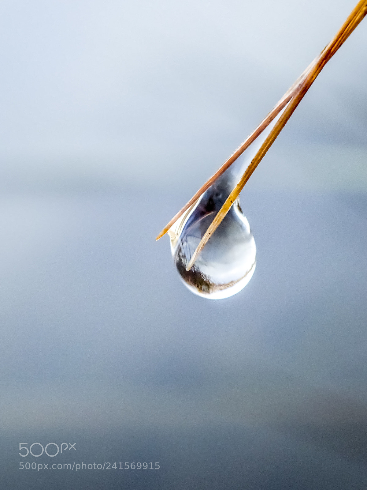 Olympus TG-5 sample photo. Rain photography