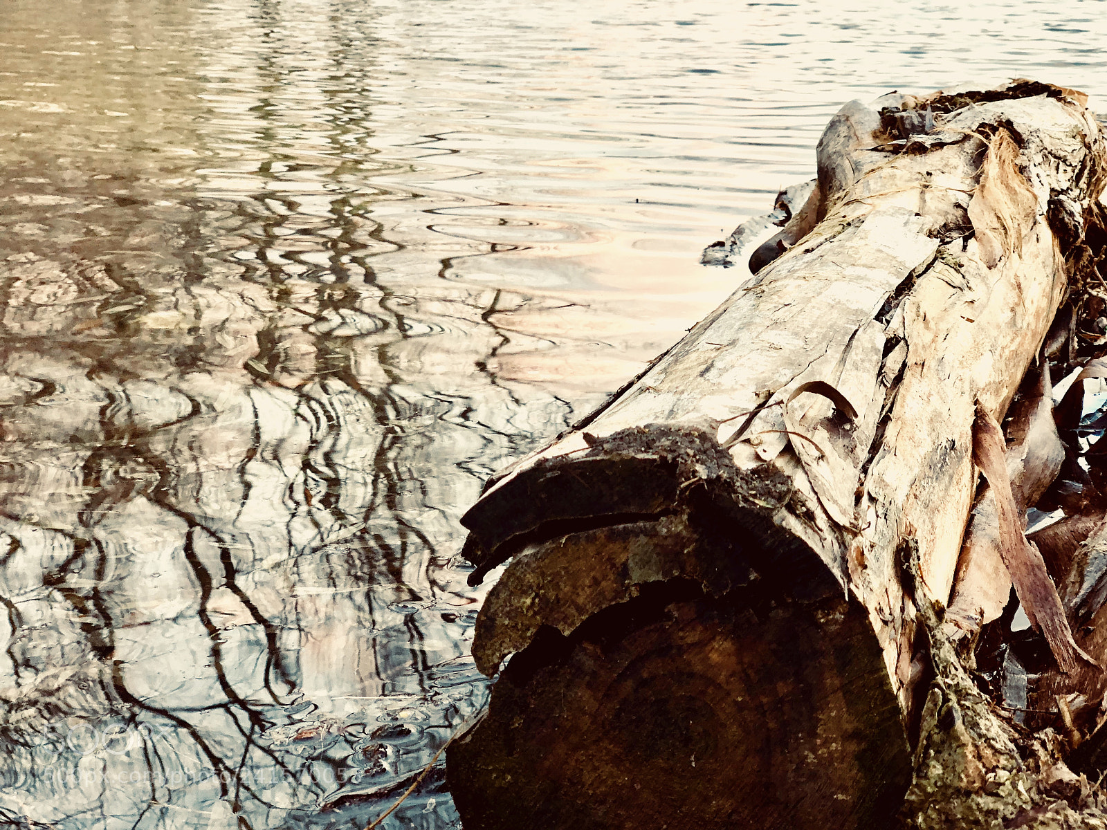 Apple iPhone X sample photo. Age was given photography