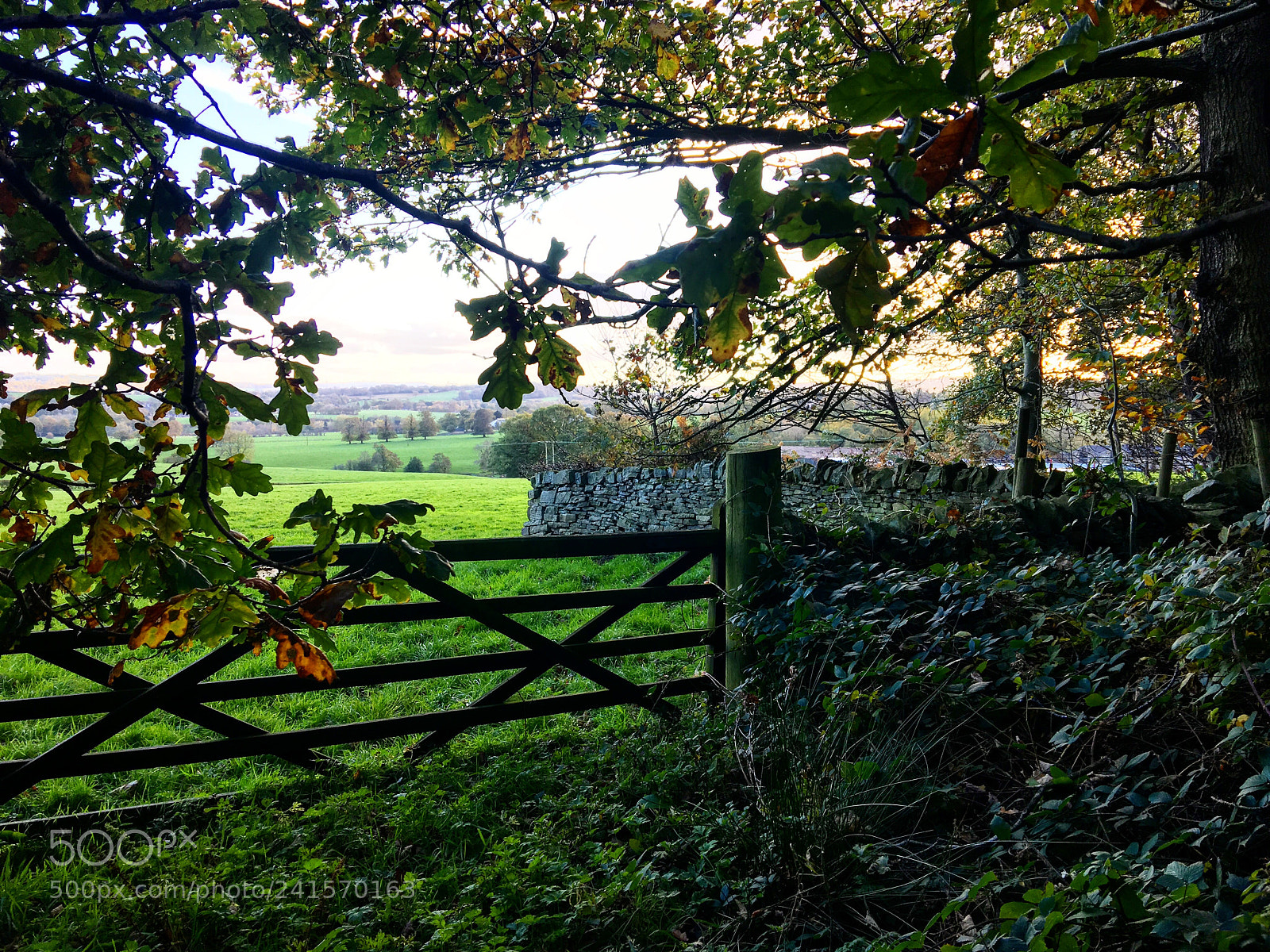 Apple iPhone 6s Plus sample photo. Stone walls, green scenery photography