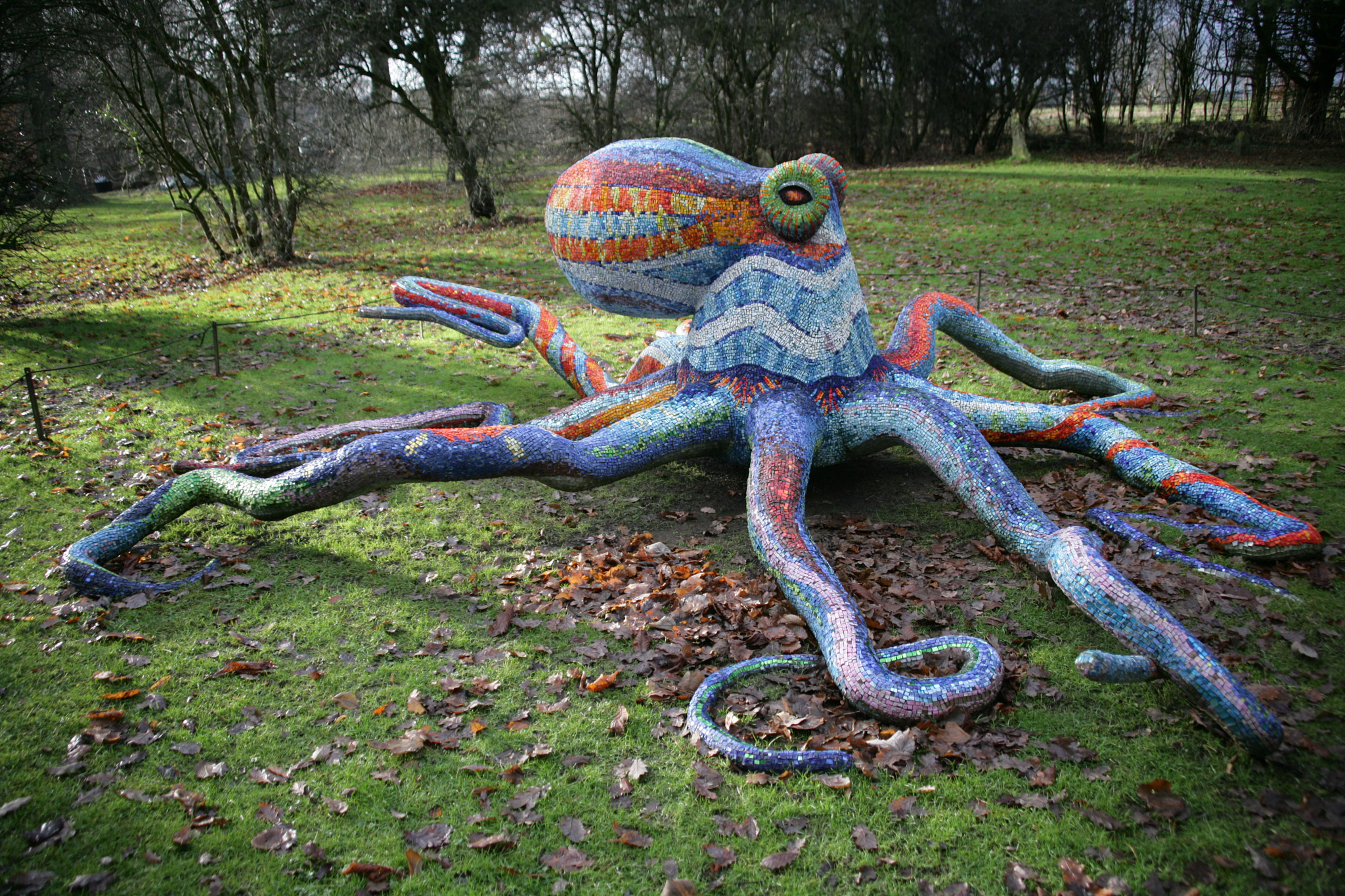 28.0 - 135.0 mm sample photo. Octopus in the park photography