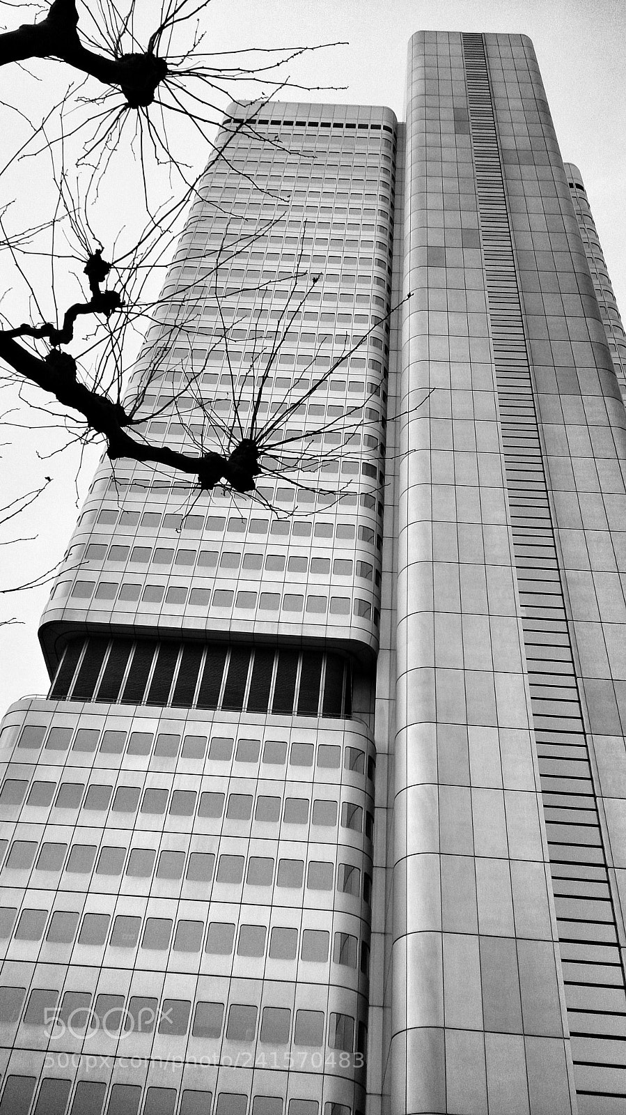 Sony Xperia Z sample photo. Up1 photography