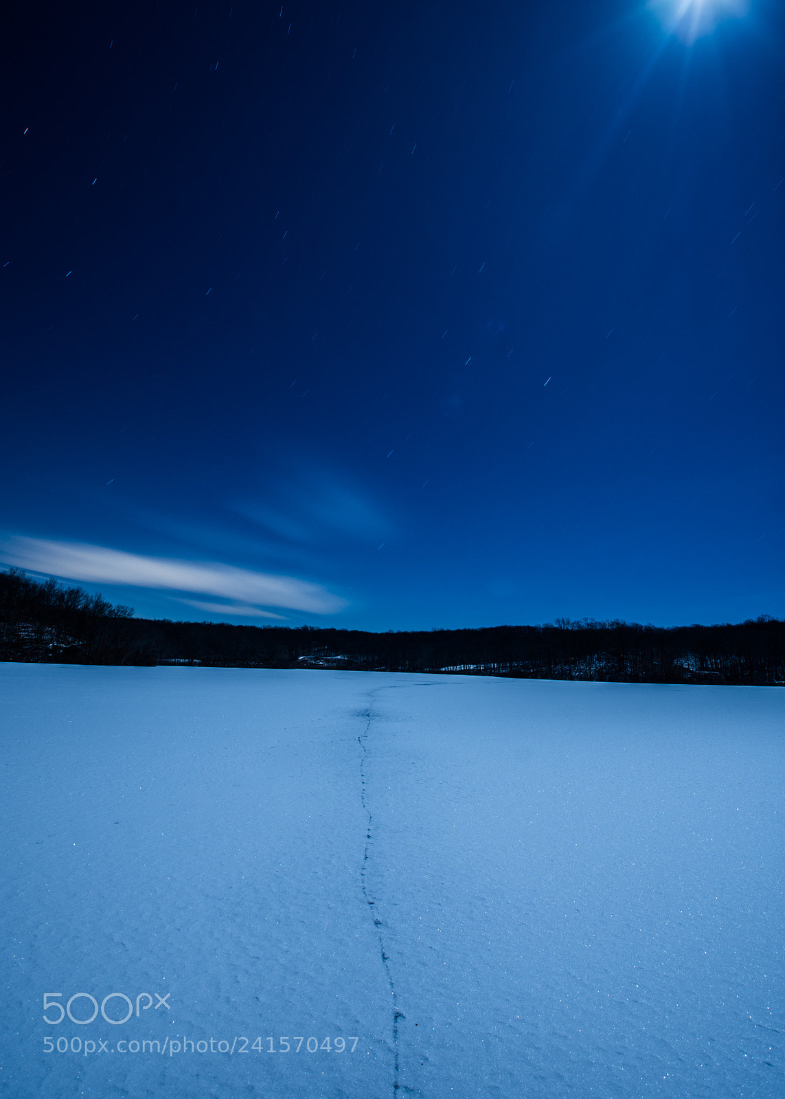 Nikon D7200 sample photo. Just a little crack photography