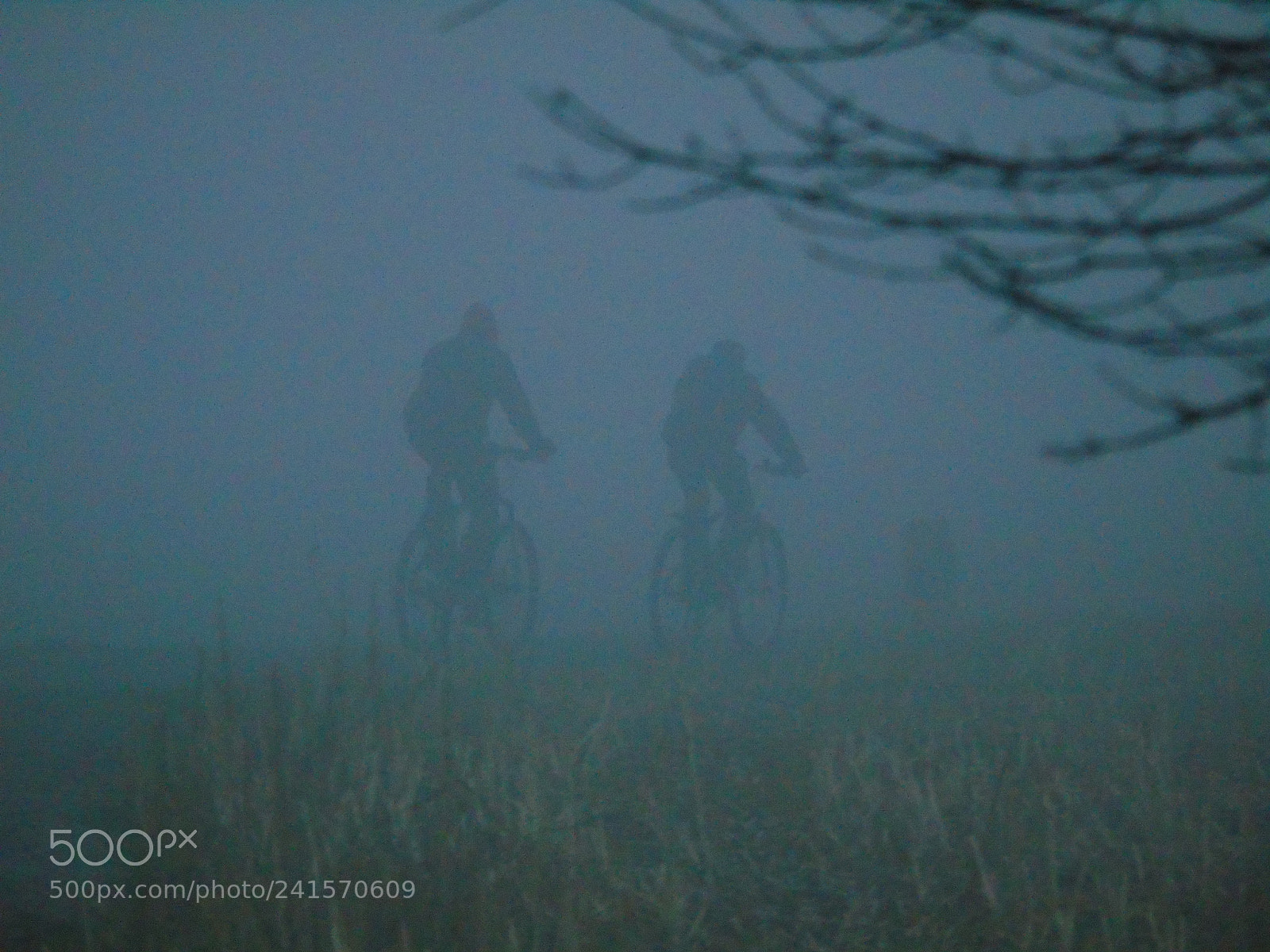 Sony Cyber-shot DSC-H400 sample photo. Fog and bicycle tour photography