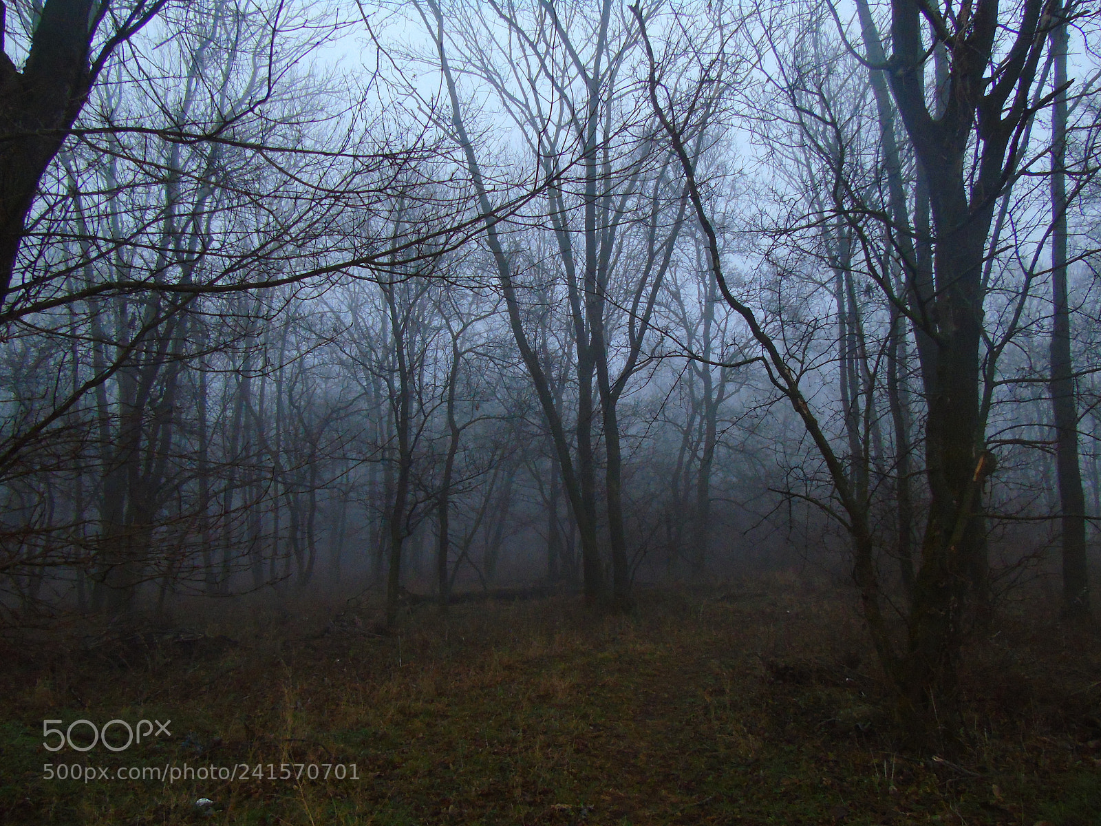 Sony Cyber-shot DSC-H400 sample photo. Quiet and calm photography