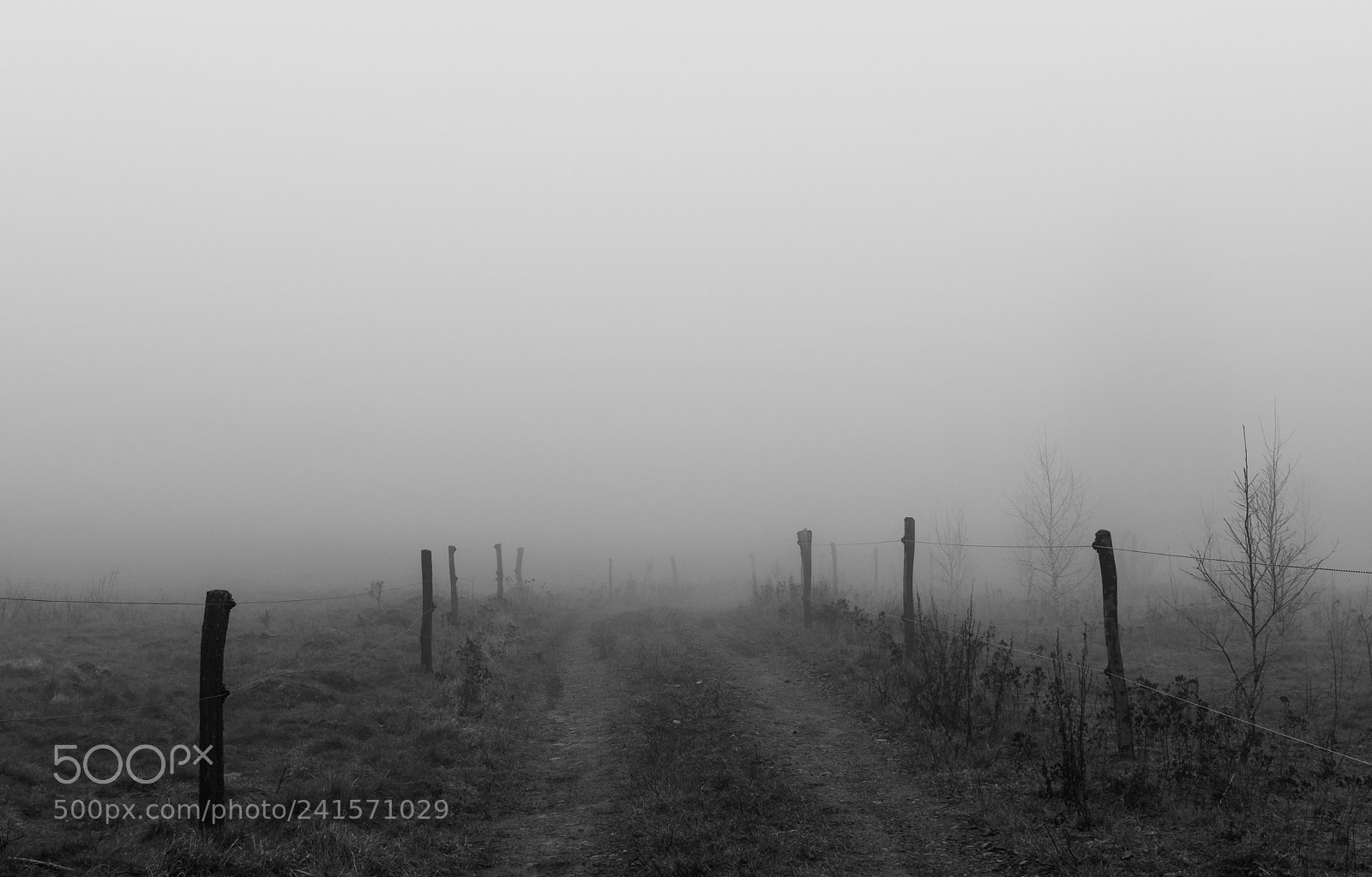 Nikon D5500 sample photo. Road in the clouds photography