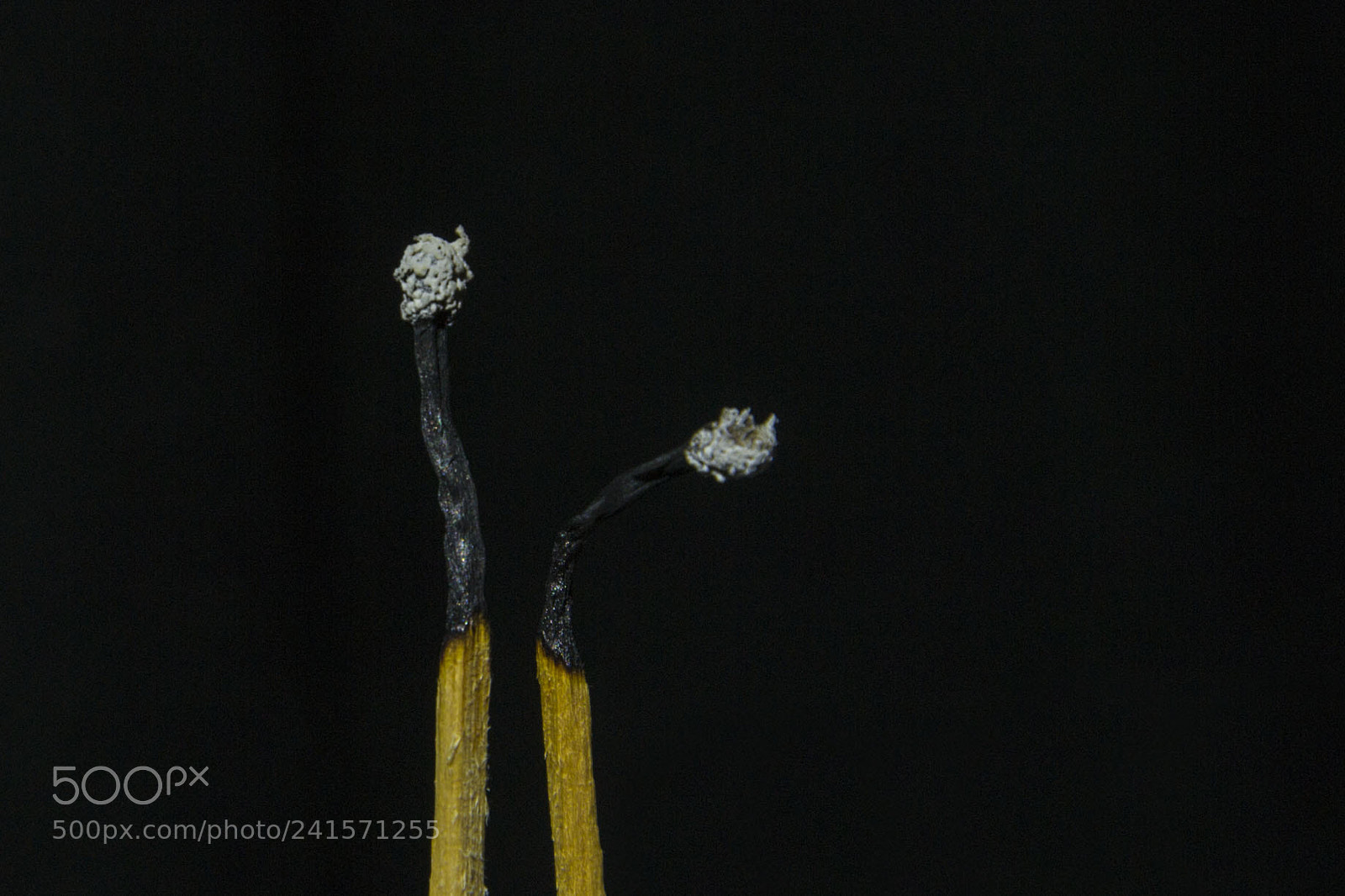 Nikon D3100 sample photo. Matches photography