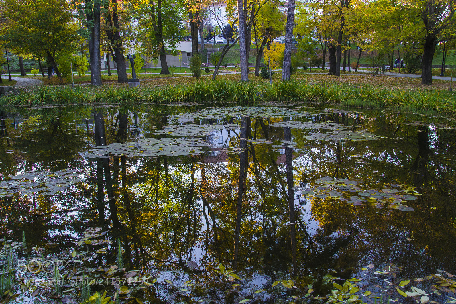 Nikon D3100 sample photo. Reflection photography