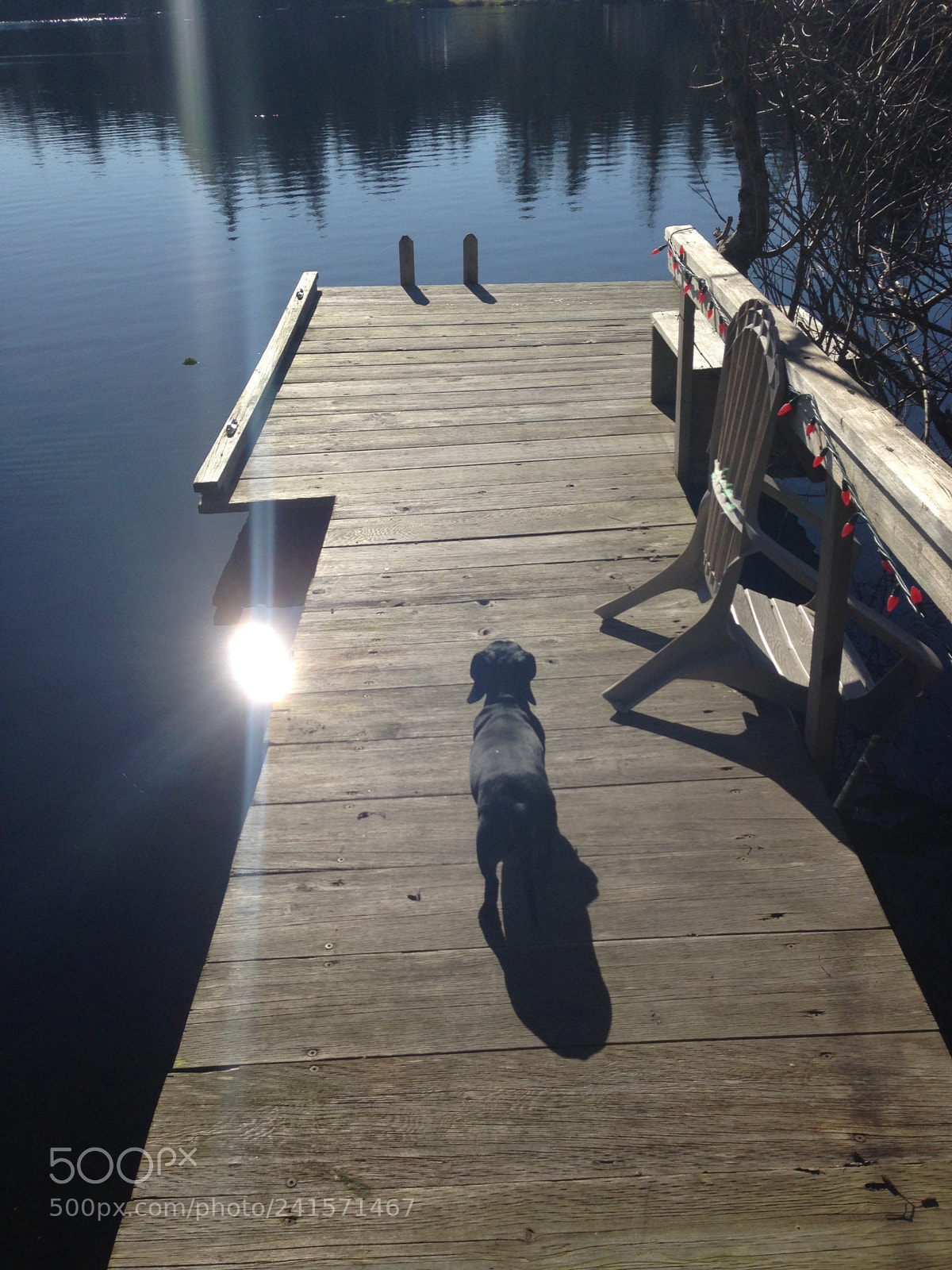 Apple iPhone 5 sample photo. Morning walk photography