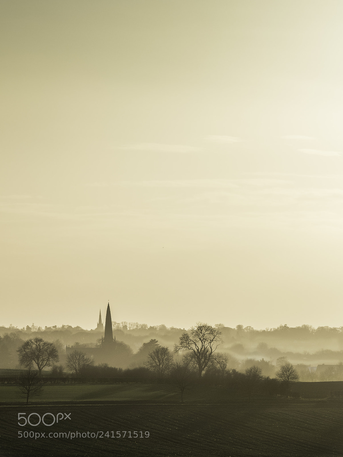 Olympus OM-D E-M1 sample photo. Welbourn photography