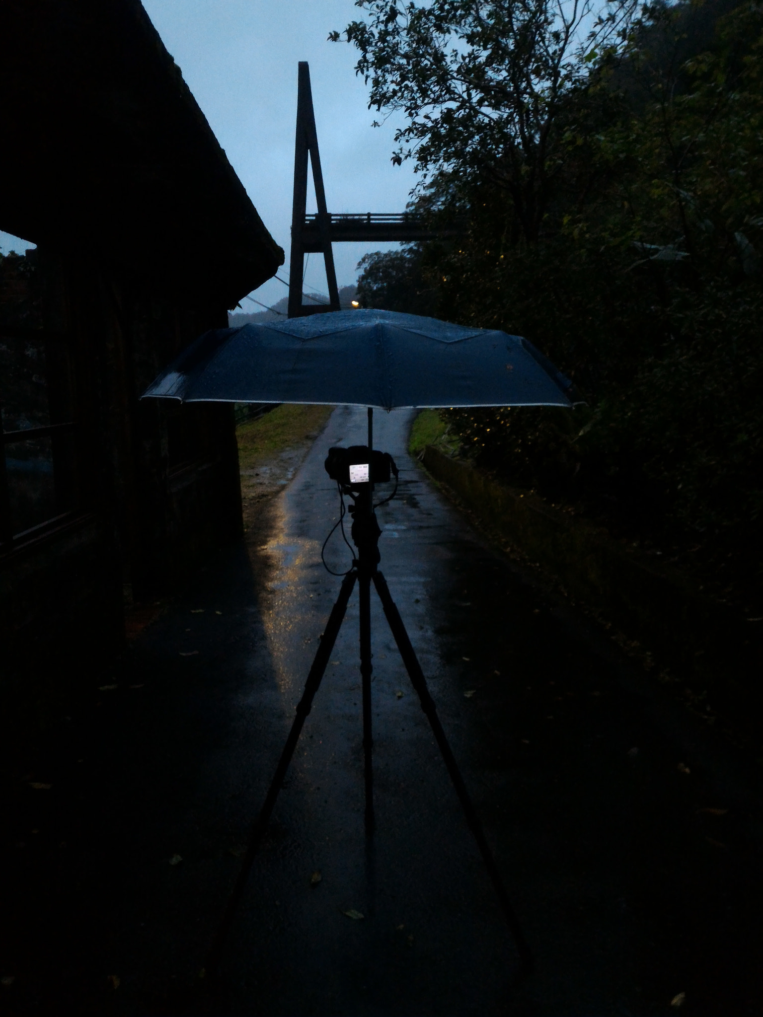 ASUS Z008D sample photo. Wet day photography