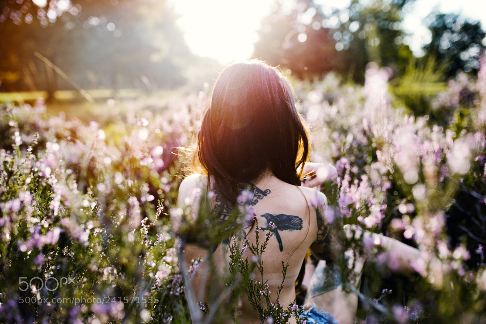 Sony a7 II sample photo. This beautiful fantastic photography