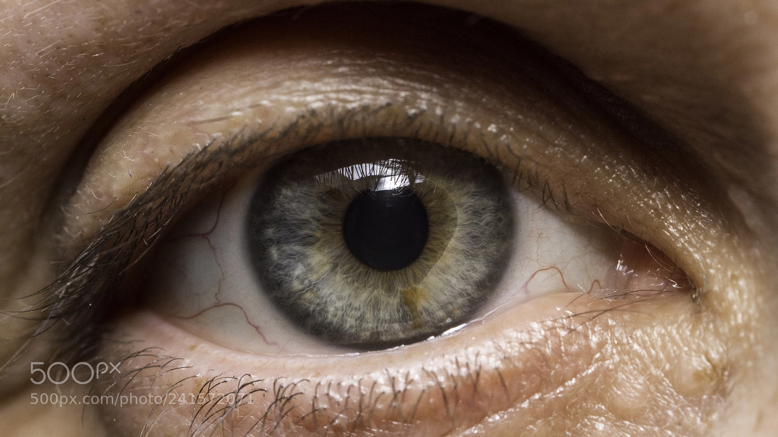 Nikon D7200 sample photo. Nice eye photography
