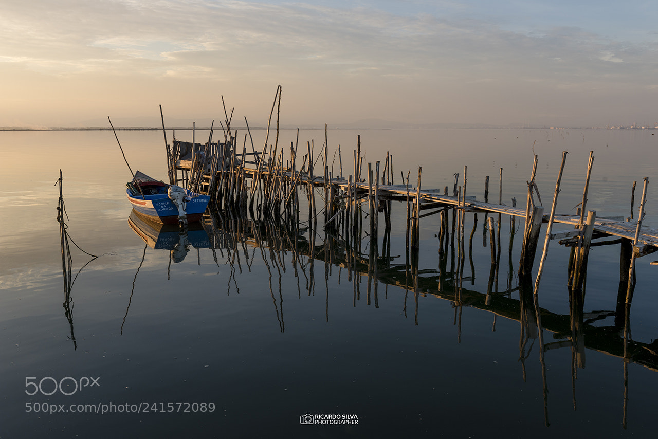 Nikon D810 sample photo. A different approach photography