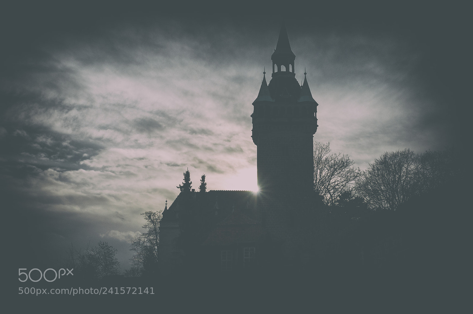 Nikon D300S sample photo. Quedlinburg photography