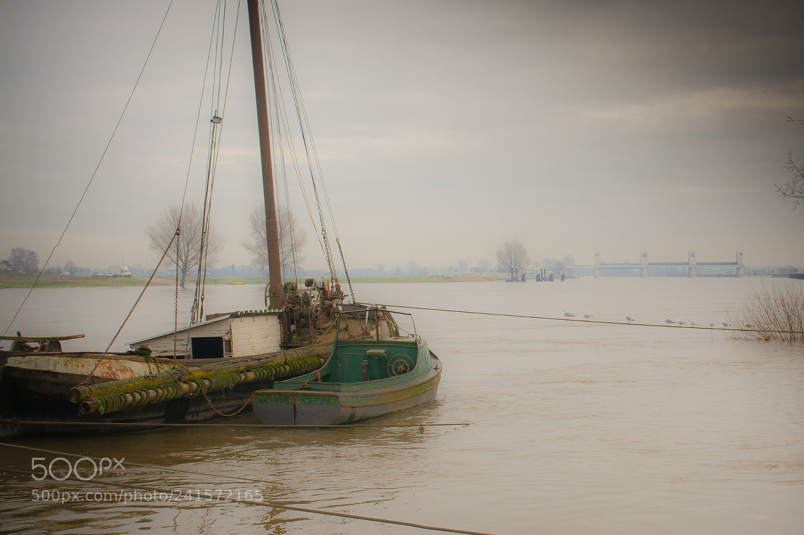 Nikon D7100 sample photo. Quiet.... photography
