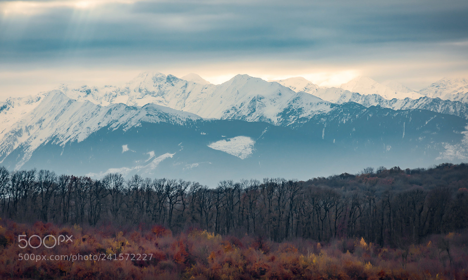 Nikon D7200 sample photo. Nature photography