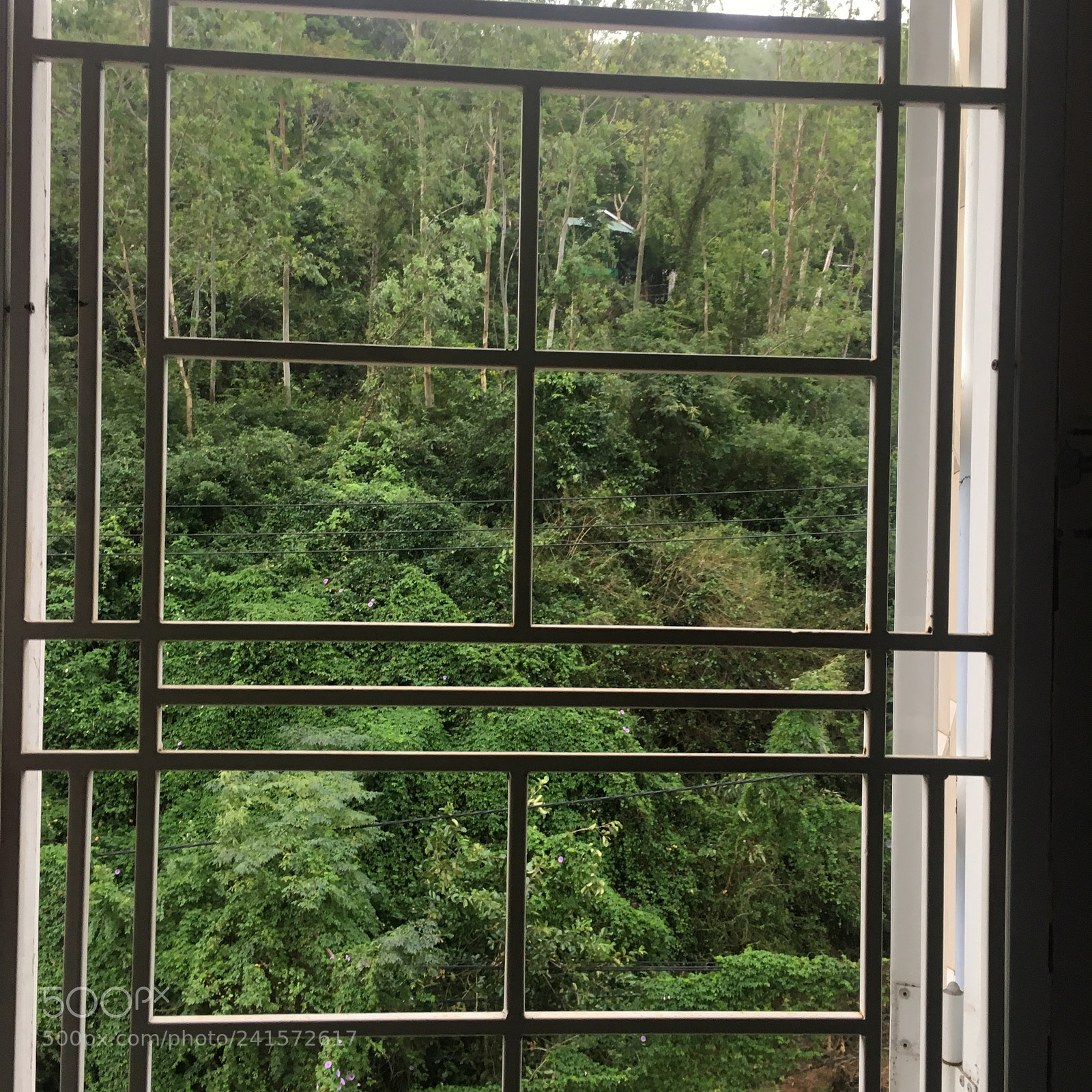 Apple iPhone 6s sample photo. Open window see mountain photography