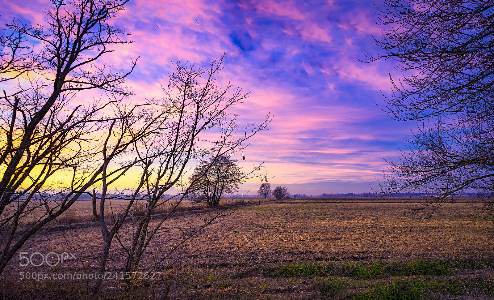 Sony a7 II sample photo. Merge photography