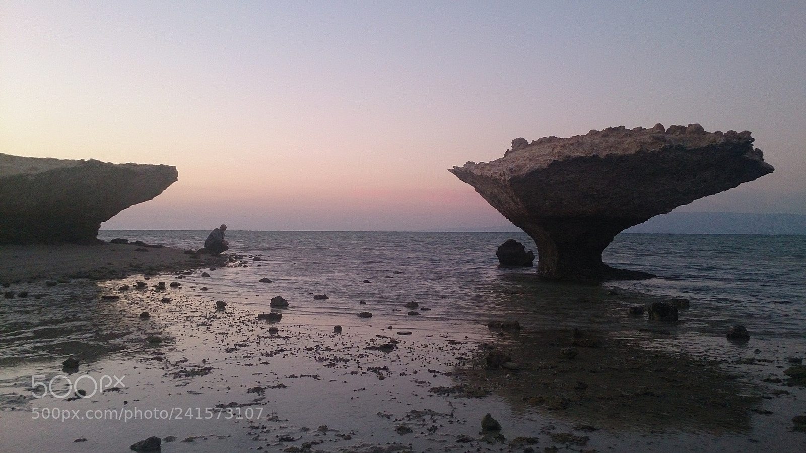 Sony Xperia Z sample photo. Mushroom rock photography