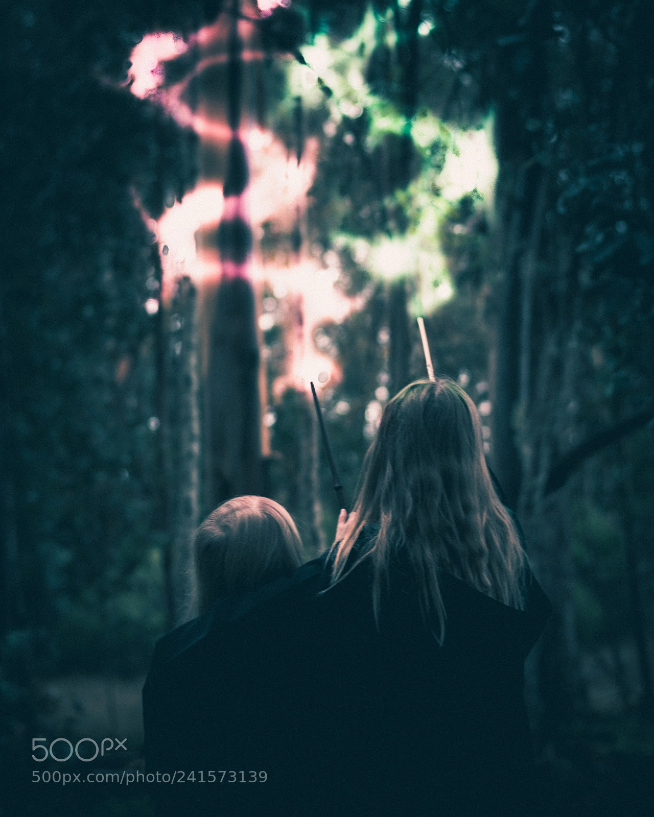 Nikon D5600 sample photo. Into the forbidden forest photography