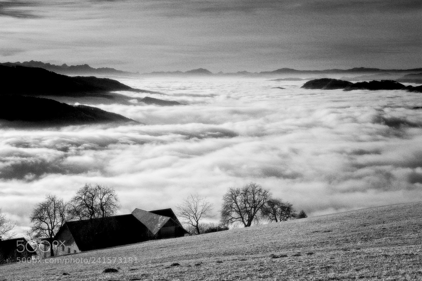 Nikon D7100 sample photo. Sea of clouds photography