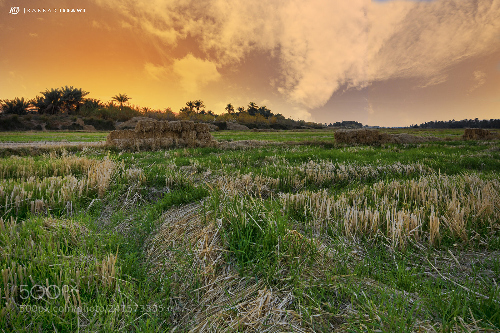 Nikon D7100 sample photo. Sunset photography