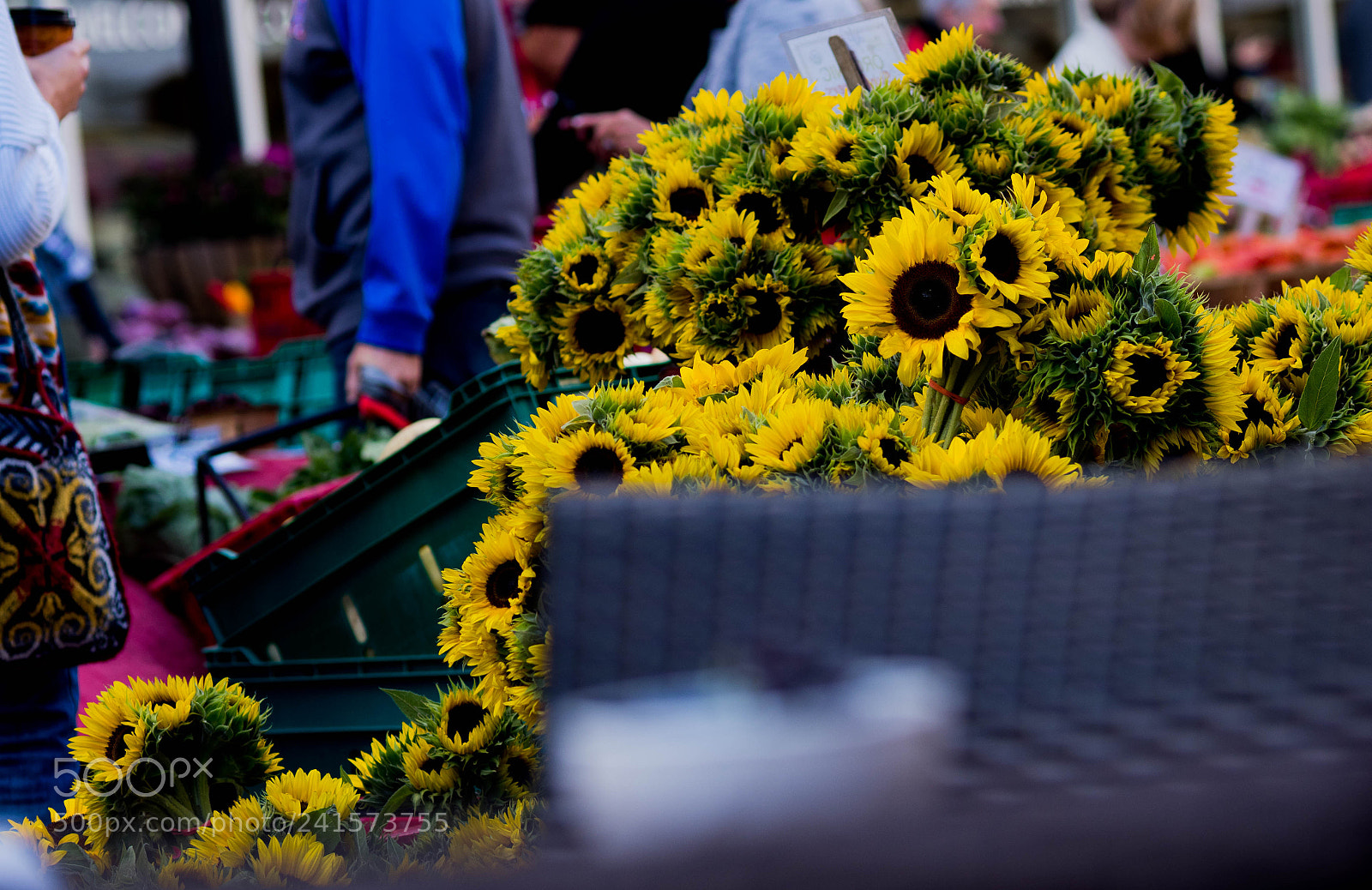 Olympus OM-D E-M1 Mark II sample photo. Srq saturday morning market #3 photography