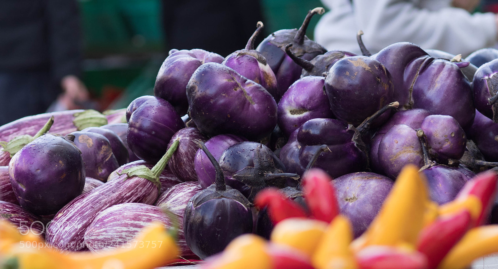 Olympus OM-D E-M1 Mark II sample photo. Srq saturday morning market #4 photography