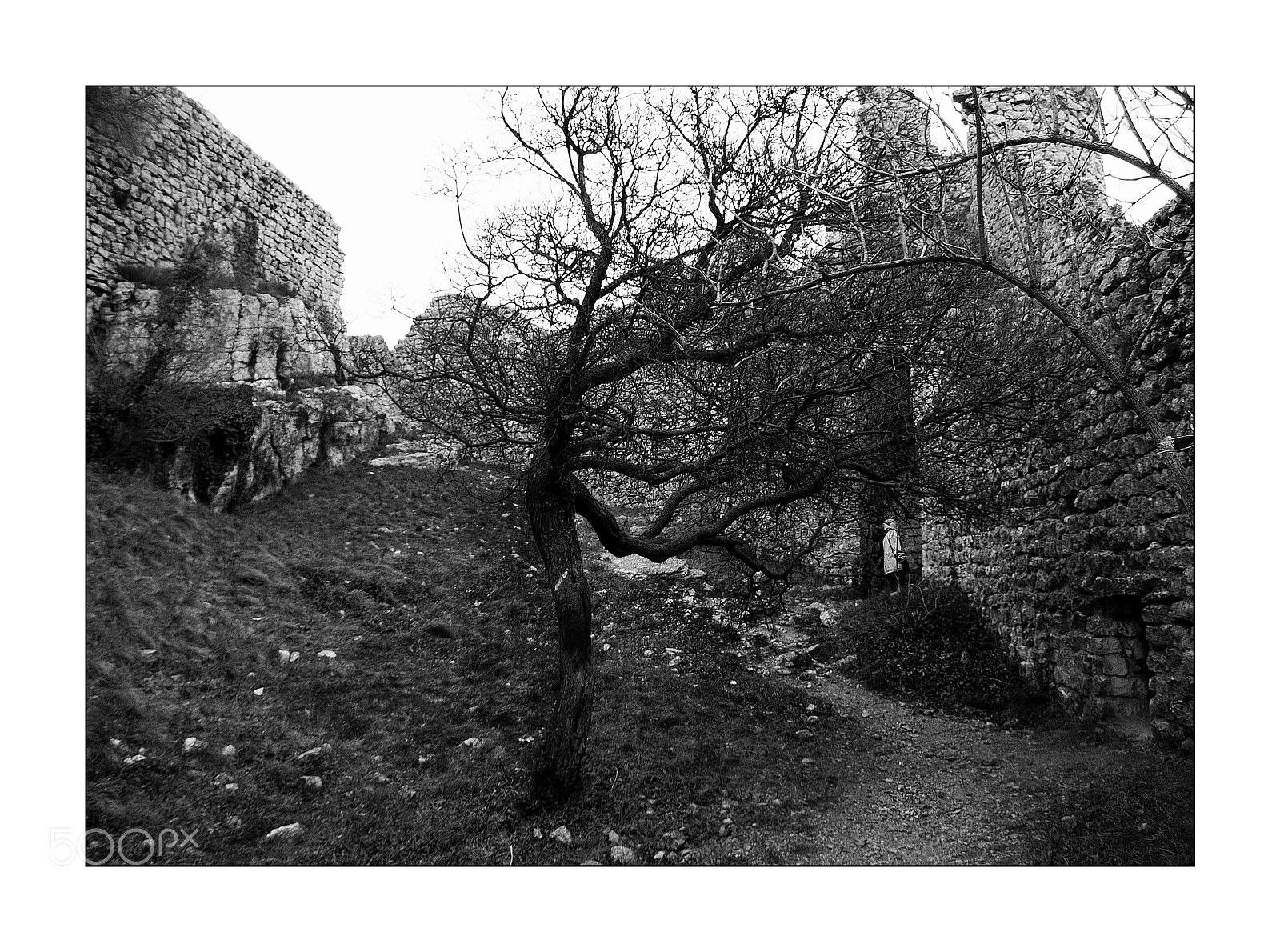 Olympus E-500 (EVOLT E-500) sample photo. Château de crussol photography