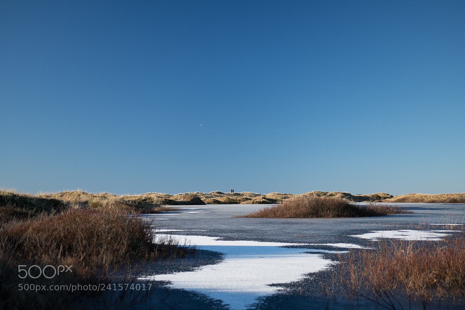 Nikon D500 sample photo. January at havika photography