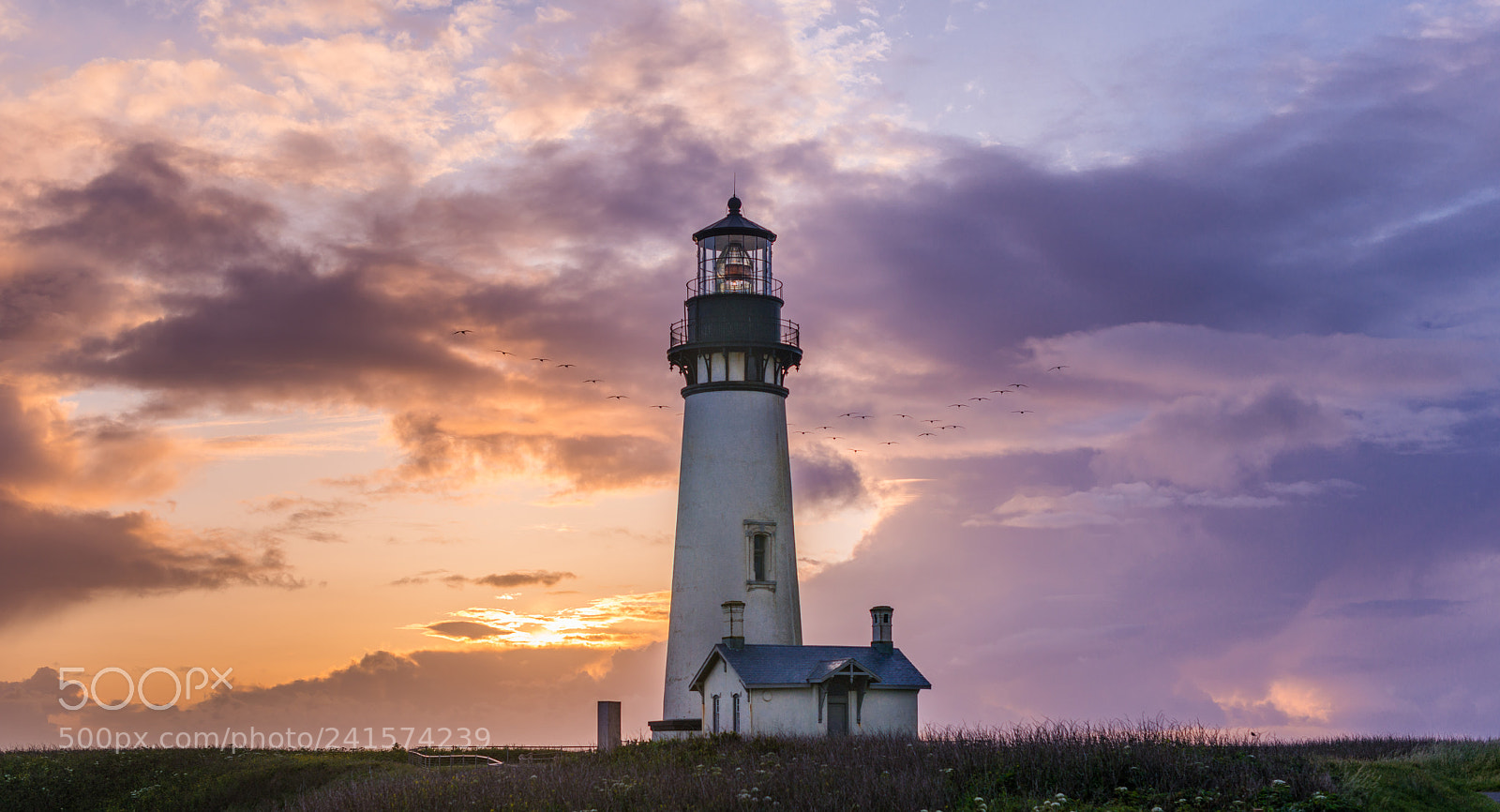 Nikon D800 sample photo. Lighthouse in oregon photography