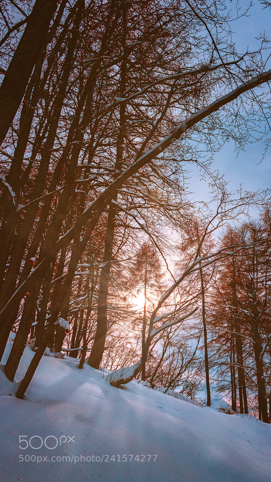 Canon EOS 100D (EOS Rebel SL1 / EOS Kiss X7) sample photo. Sunset on the snow photography