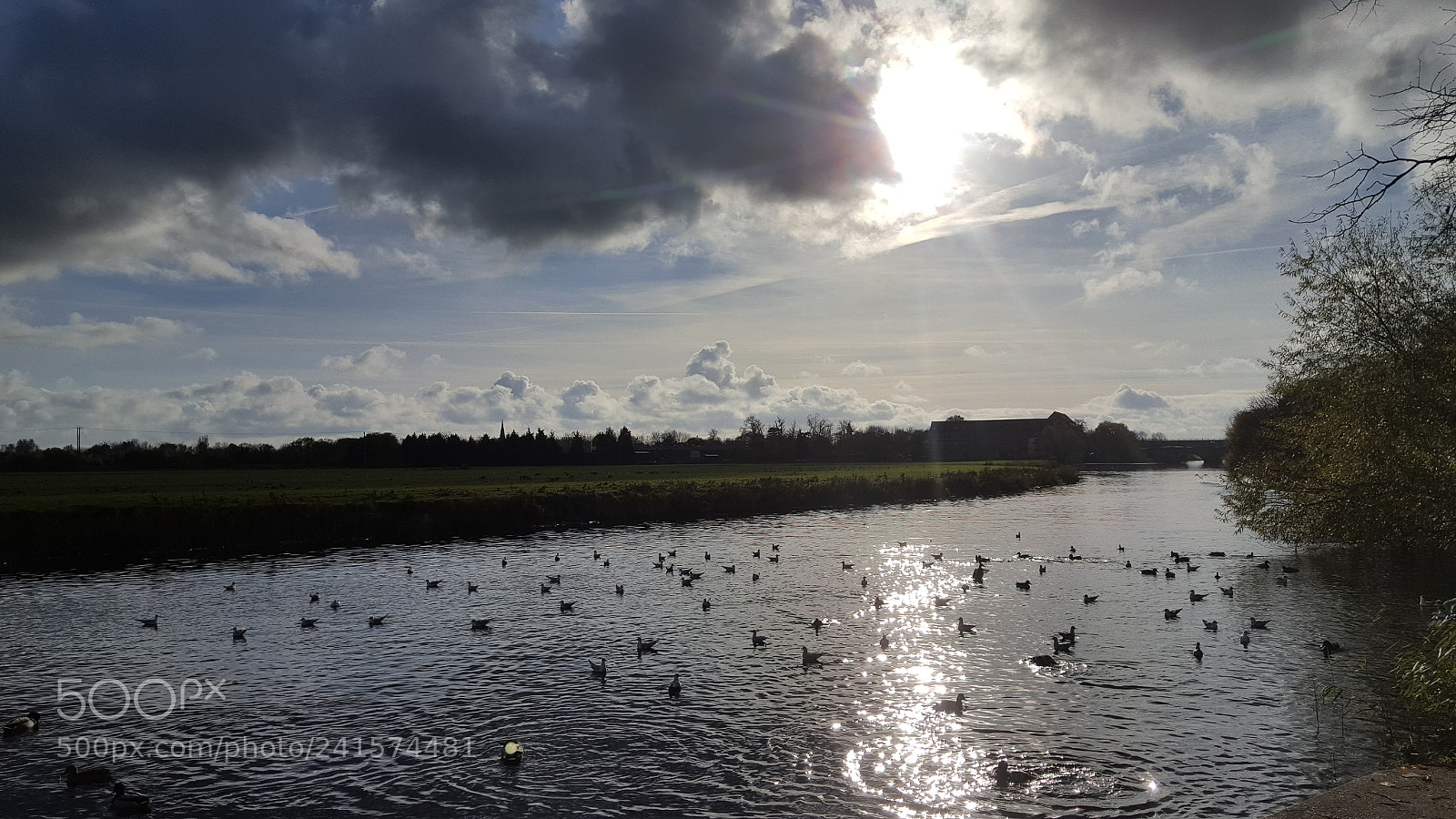 Samsung GALAXY S6 edge sample photo. Pure bliss photography