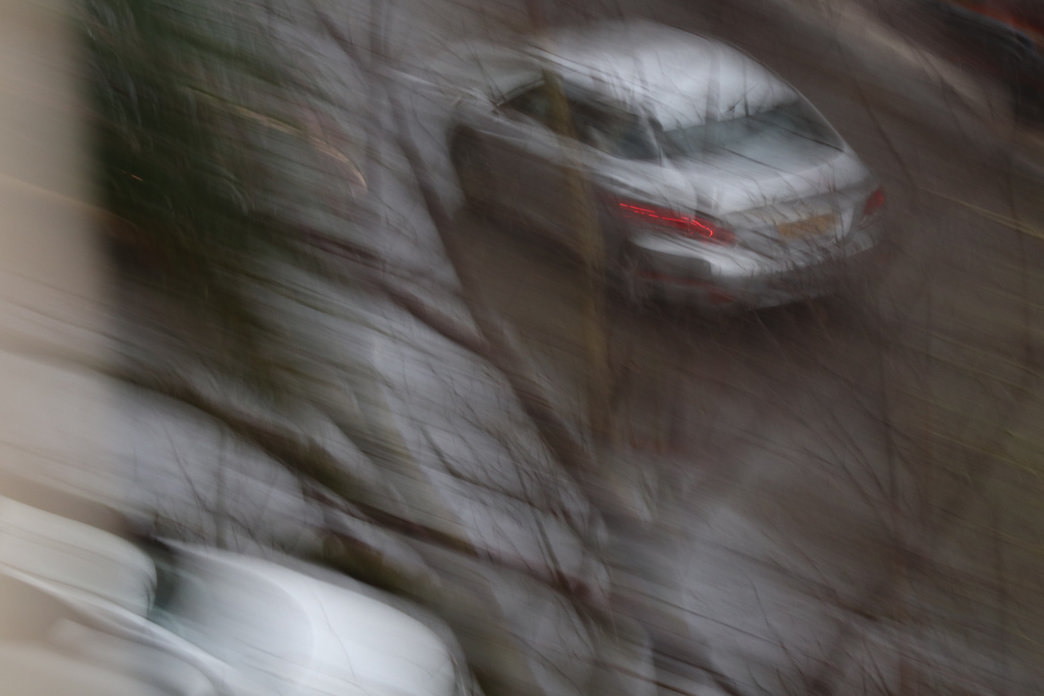 Canon EOS M100 + Canon EF-M 55-200mm F4.5-6.3 IS STM sample photo. Finally rain at home photography