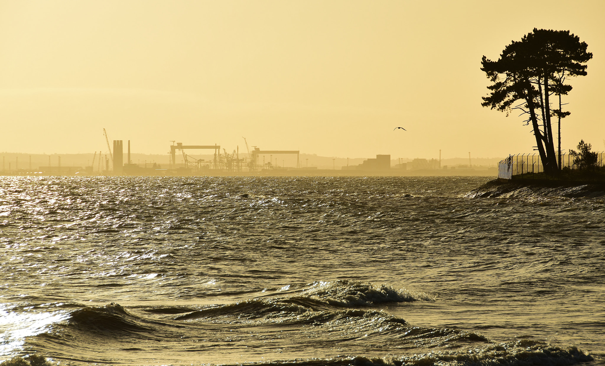 Nikon D5500 sample photo. Funny sunny light on the lough photography