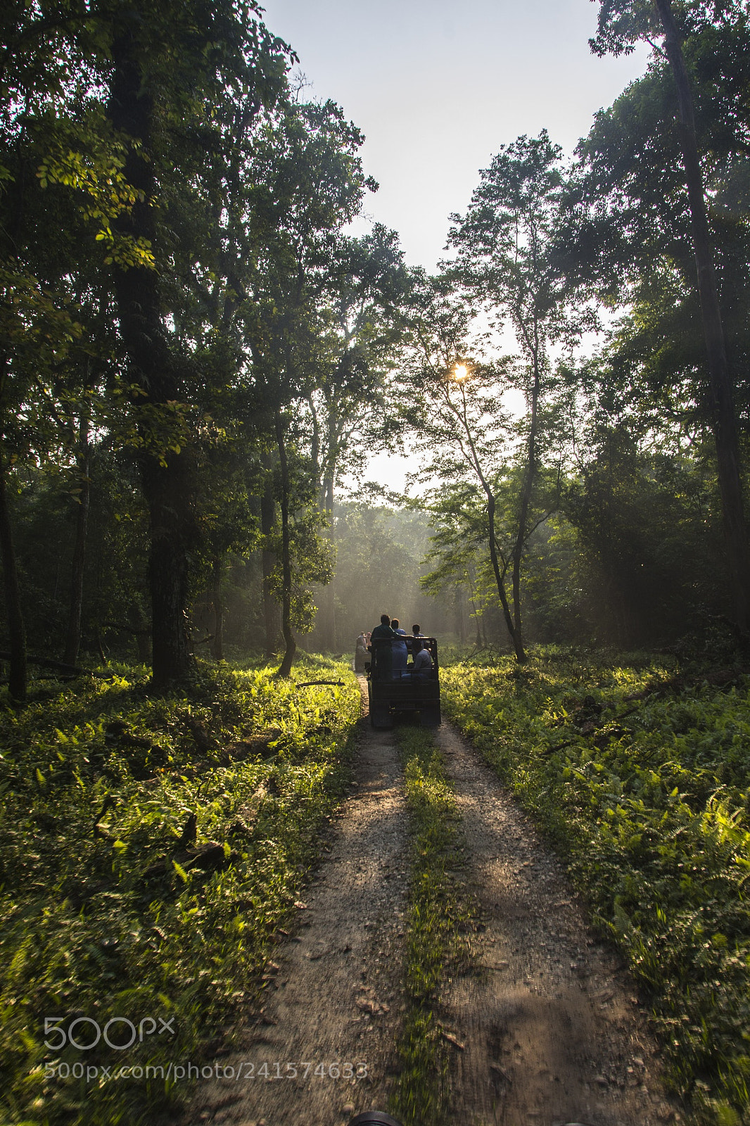 Nikon D7100 sample photo. Gorumara forest - jeep photography